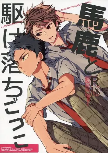 ハイキュー！！ 馬鹿と駆け落ちごっこ / ミズユキ （及川徹×岩泉一） / ディートヘルム