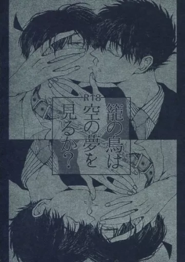 名探偵コナン 籠の鳥は空の夢を見るか? / ゆき （黒羽快斗×工藤新一） / 地雷