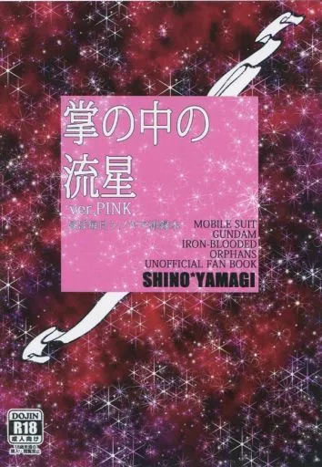 掌の中の流星 ZHOMI236782image