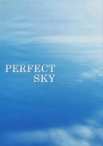 PERFECT SKY ZHOMI264636image