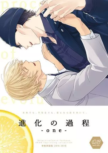 名探偵コナン 進化の過程 -one- / シンカ （赤井秀一×安室透） / 李欧