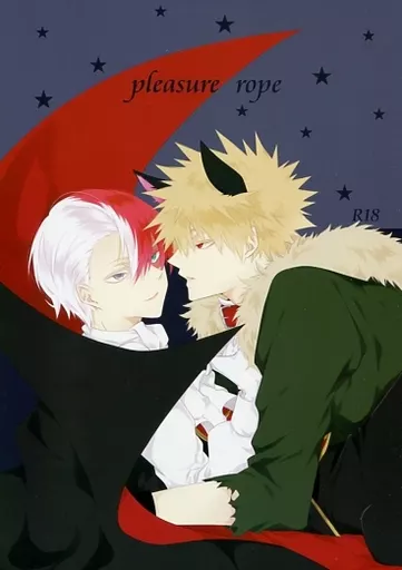 僕のヒーローアカデミア pleasure rope / 紗由 (爆豪勝己×轟焦凍) / PAKUMOGU