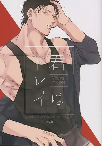 名探偵コナン 君はドレイ / さいた （赤井秀一×安室透） / 帰り道