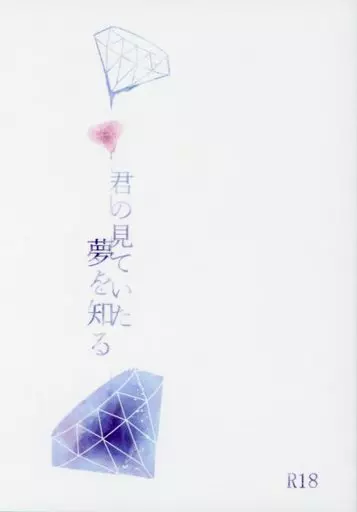 　君の見ていた夢を知る / ビターエンド ZHOMI303083image