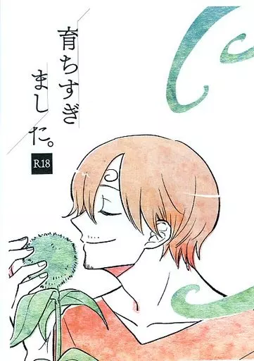 ワンピース 【コピー誌】育ちすぎました。 / 衣々ヤスコ (ゾロ×サンジ) / サマリアン