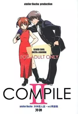 COMPILE II_image