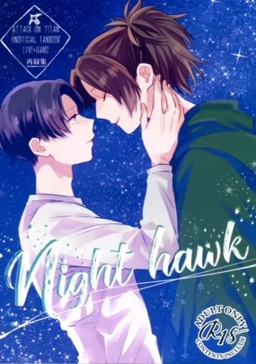 Night hawk ZHOMI374973image