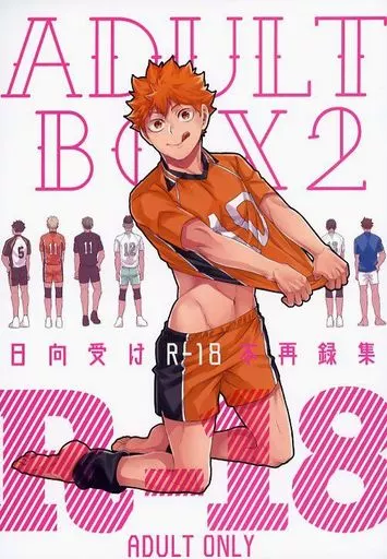 ハイキュー！！ ADULT BOX 2 / えふ臓 （赤葦京治×日向翔陽） / FISH GOLD