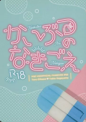 ハイキュー！！ かいぶつのなきごえ / 久城ろく （及川徹×影山飛雄） / 遠視