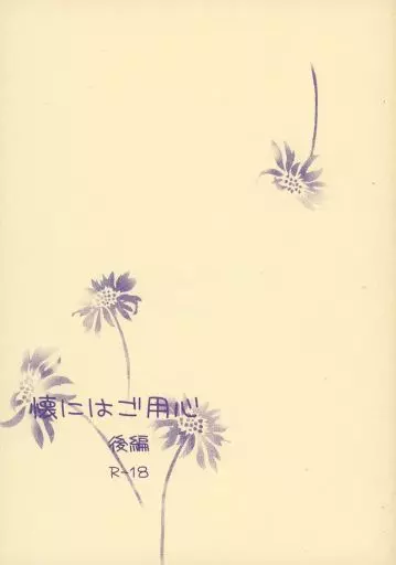 炎の蜃気楼(ミラージュ) 懐にはご用心 後編 / エグチ (直江信綱×仰木高耶) / Moonlit Studio