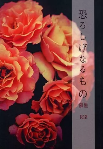 羅小黒戦記 恐ろしげなるもの / なつうみ (無限×小黒) / あかい靴