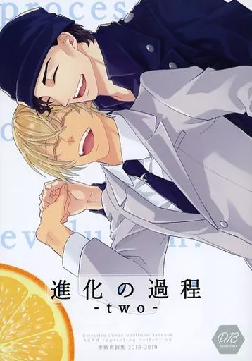 名探偵コナン 進化の過程 -two- / シンカ (赤井秀一×安室透) / 李欧