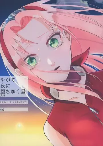 ナルト やがて夜に堕ちゆく星 【前編】 / だら （サスケ×サクラ） / HOGEGE