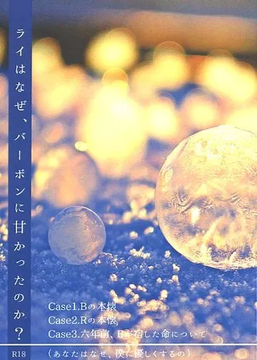 名探偵コナン ライはなぜ、バーボンに甘かったのか？ / にゃろまぐ （赤井秀一×安室透） / 二八六堂
