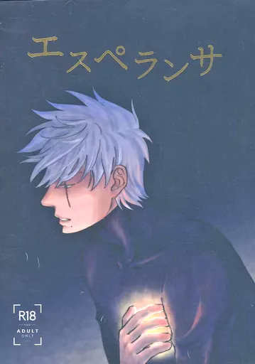 エスペランサ ZHOMI418788image