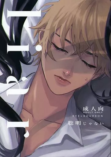 名探偵コナン liar / もこつ （赤井秀一×安室透） / 聡明じゃない