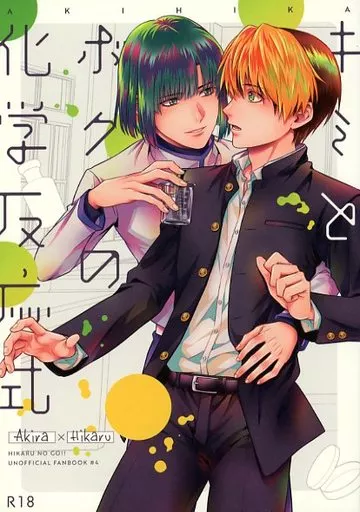 ヒカルの碁 キミとボクの化学反応式 / もち米 （塔矢アキラ×進藤ヒカル） / irodori茶屋