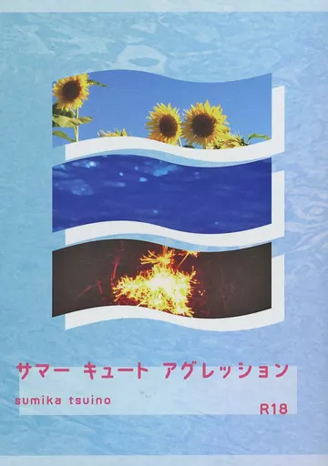 東京リベンジャーズ サマーキュートアグレッション / 終の栖 （場地圭介×松野千冬） / やどりぎ文庫
