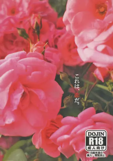 吸血鬼すぐ死ぬ これは、恋だ。 / 無月深夜 （ロナルド×ドラルク） / Darling！