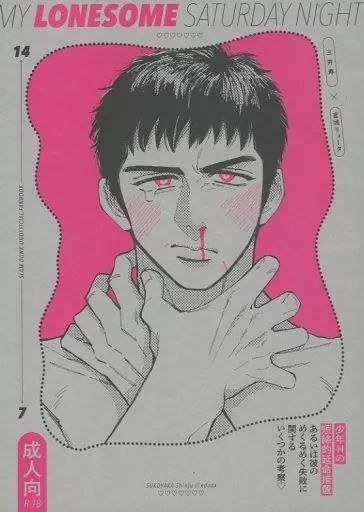 スラムダンク 少年Hの短絡的延命措置あるいは彼のめくるめく失敗に関するいくつかの考察 / えだだ （三井寿×宮城リョータ） / すこやか心中