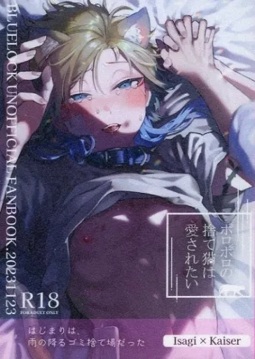 ボロボロの捨て猫は愛されたい – ブルーロック – 潔世一 カイザー