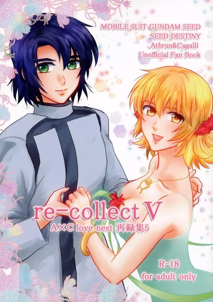 re－collect 5 – 機動戦士ガンダムSEED DESTINY – アスラン・ザラ カガリ・ユラ・アスハ アスラン カガリ