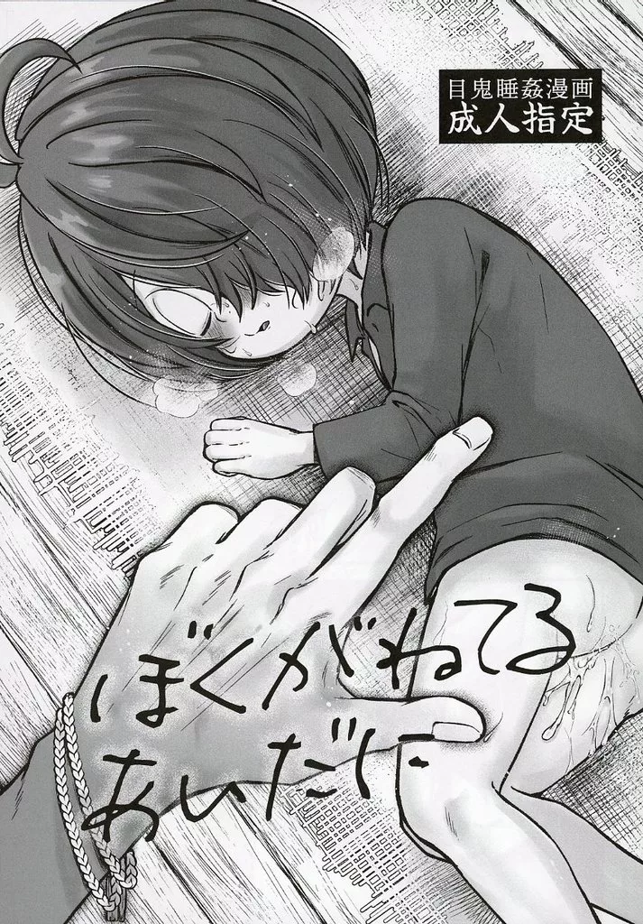 ぼくがねてるあいだに_image