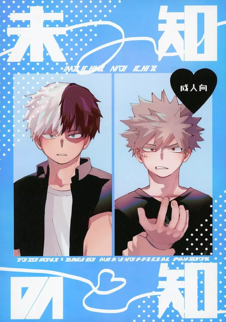 未知の知 – 僕のヒーローアカデミア – 轟焦凍 爆豪勝己