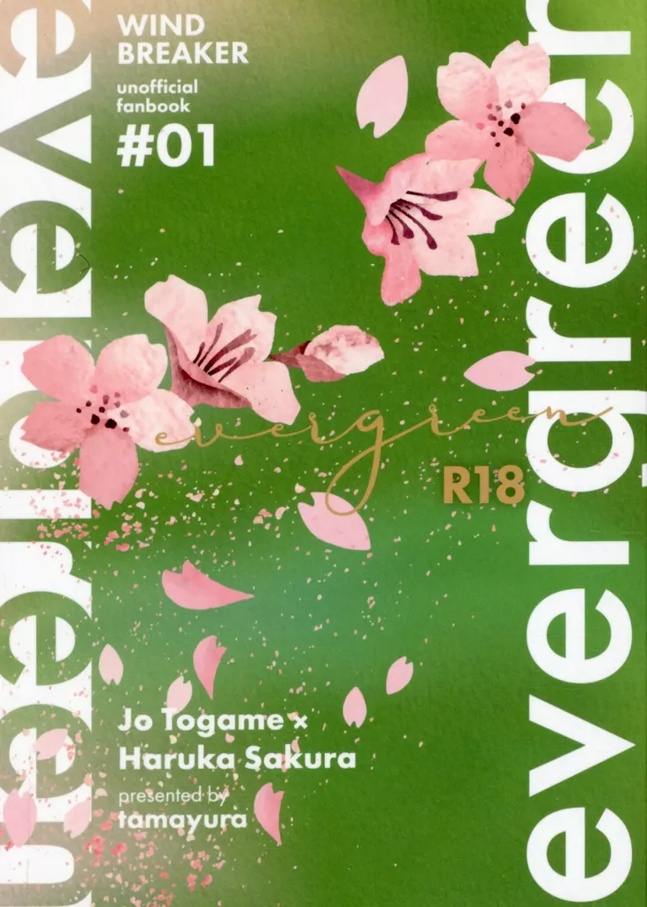 WIND BREAKER evergreen / たまゆら （十亀条×桜遥） / tamayura