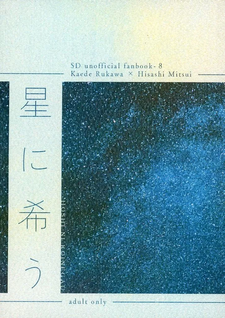 星に希う – スラムダンク – 流川楓 三井寿