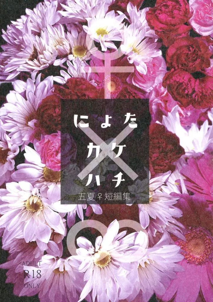 にょたカケハチ ZHOMI509387image