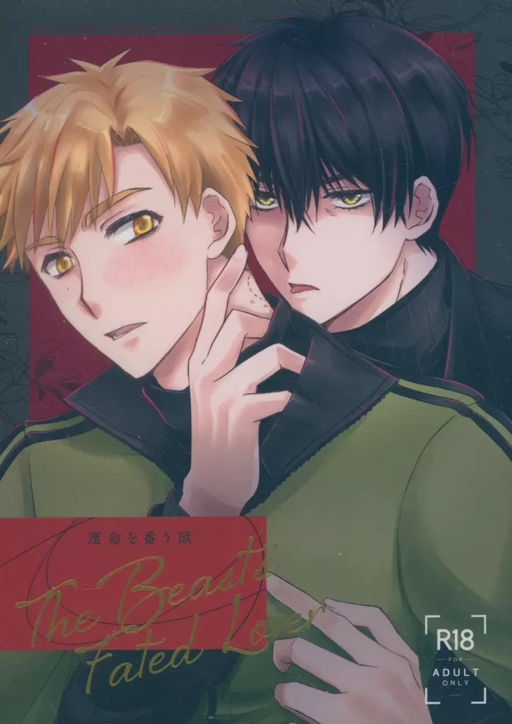 運命を番う獣 – その他アニメ・漫画 – 夜鷹純 明浦路司