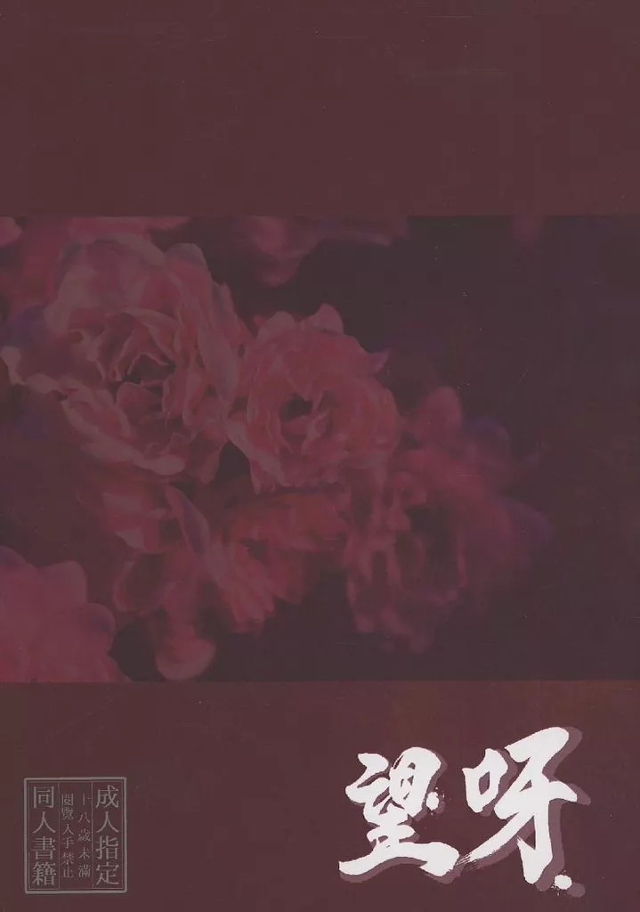 望呀 ZHOMI534128image