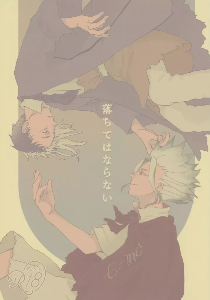 落ちてはならない ZHOMI541714image