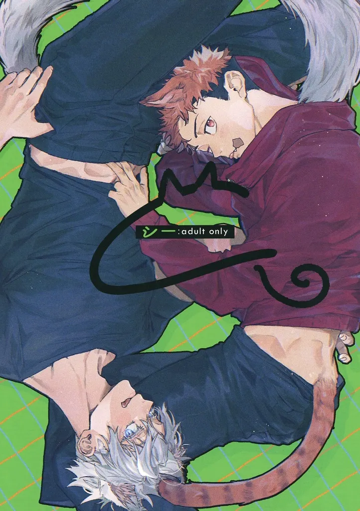 シー ZHOMI546529image