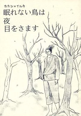 眠れない鳥は夜目をさます – ナルト – カカシ イルカ