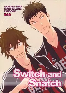 Switch and Snatch_image