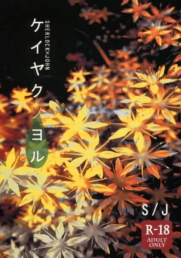 ドラマ ケイヤクノヨル / アオイ51 （シャーロック×ジョン） / アカクロコバト