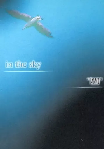 in the sky – アイドル – ニノミヤ マツモト