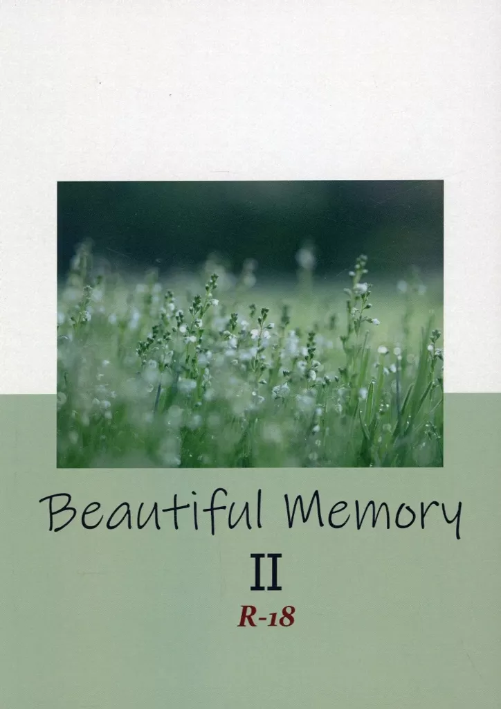 Beautiful Memory II – ドラマ – クロス ノギ