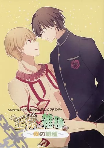 女性向け一般同人誌（BL含む）　<<Fate>> 王様と雑種 ～我の雑種～ / 月夜烏 / しょう （ギルガメッシュ×ザビ男） / 鳥獣戯画