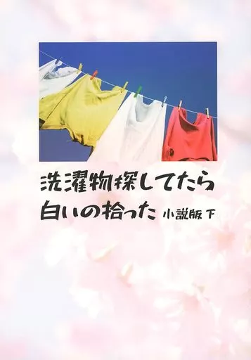 洗濯物探してたら白いの拾った 小説版 下 – 刀剣乱舞