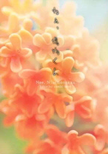 刀剣乱舞 ねぇ、偽物くん / 哀れな言葉 （山姥切長義、山姥切国広） / 空空【KARAKARA】