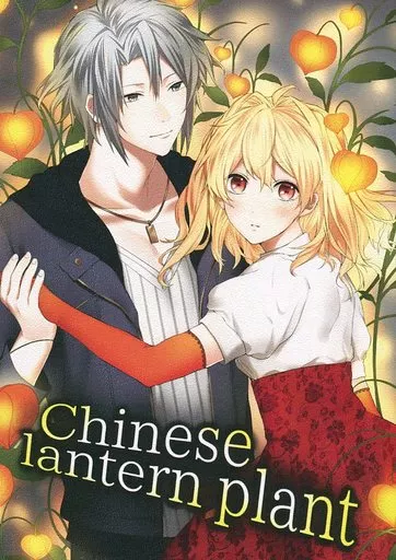 Chinese lantern plant_image