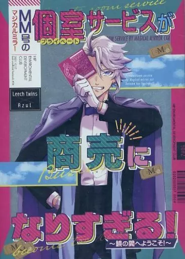 マジカルミラー号の個室サービスが商売になりすぎる！ – その他ゲーム – リーチ兄弟 アズール