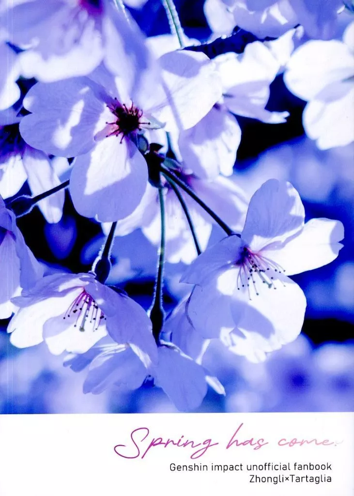 原神 Spring has come． / 灰月 （鍾離×タルタリヤ） / Alstromeria