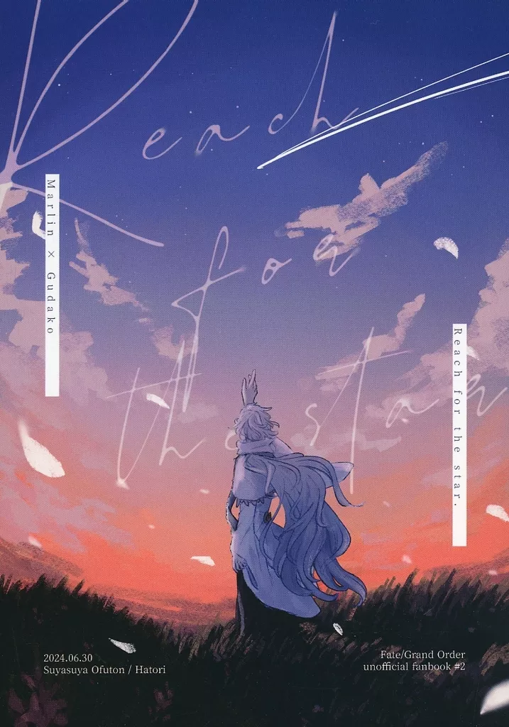 Reach for the star． – Fate/Grand Order – マーリン ぐだ子