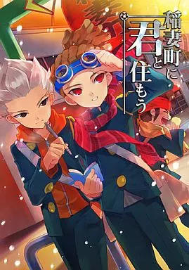 イナズマイレブン 稲妻町に君と住もう / カスカベアキラ （鬼道有人、豪炎寺修也） / いかのぼり