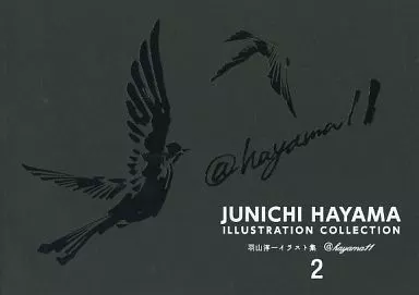 羽山淳一 イラスト集 2 JUNICHI HAYAMA ILLUSTRATION COLLECTION / BBM（ランクB）