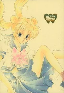 美少女戦士セーラームーン 同人誌 44p FOOL/悠宇夜愁 まもうさ 水野